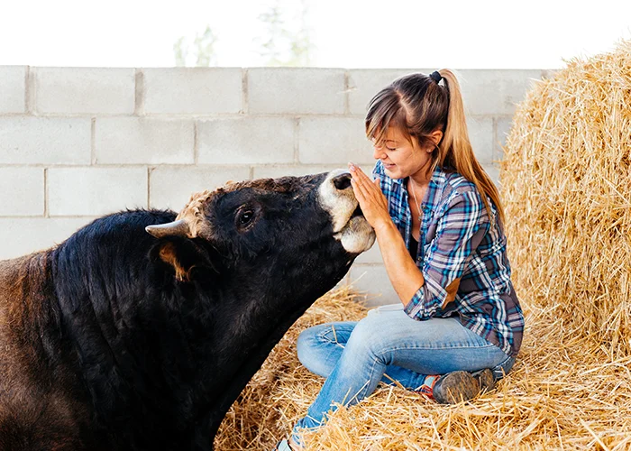 Commitment to Animal Well-being