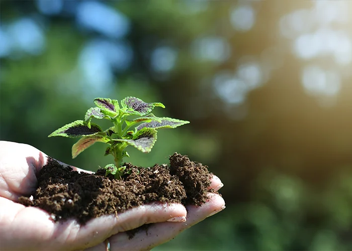 Environmental Responsibility