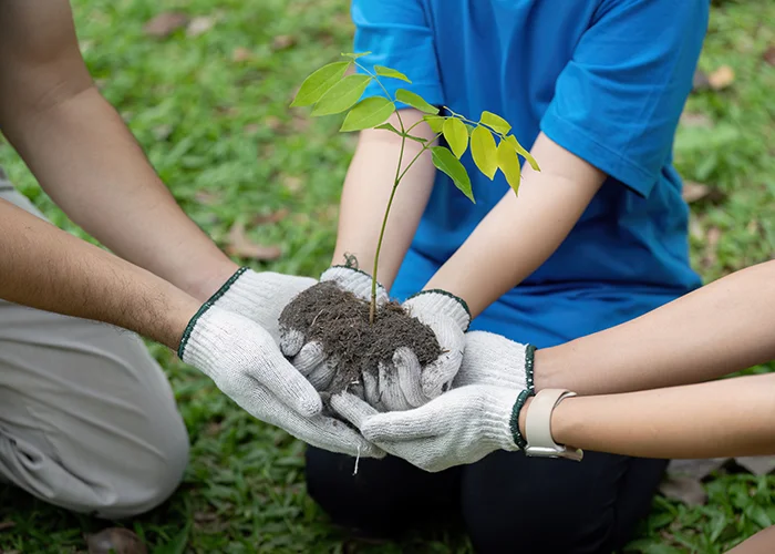Respect for the Environment