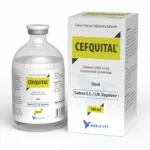 CEFQUITAL®